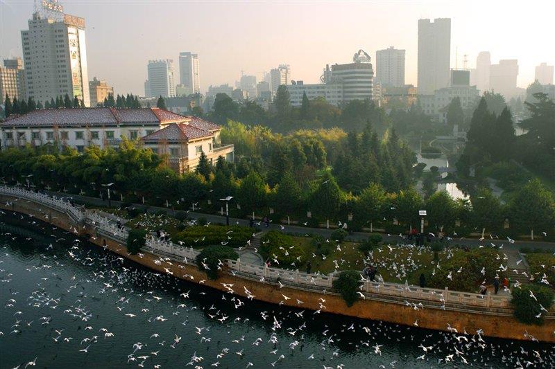 母親河盤龍江 http://www.028cx.com/ 母親河盤龍江 http://www.028cx.com/