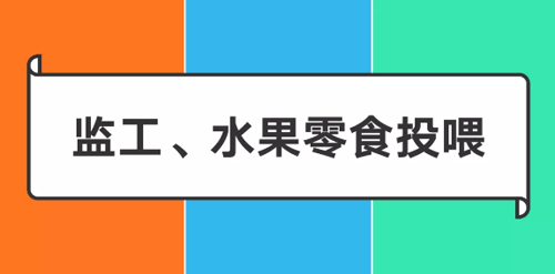 阿里/騰訊/字節跳動爸媽做什么