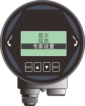 昌暉80G雷達物位計專家設(shè)置界面